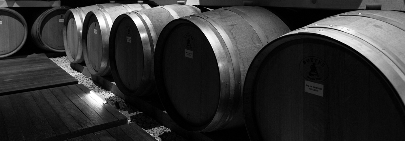 The winery - Az. Agricola Paolo Cottini